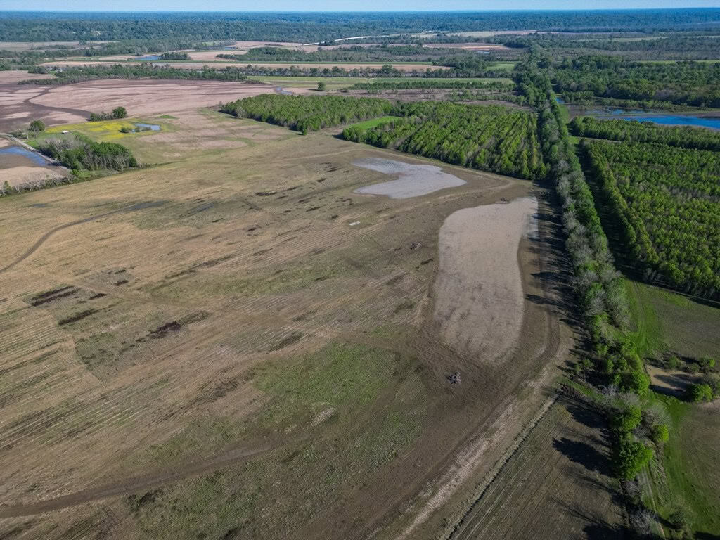Legacy Waterfowl Hunting in the Mississippi Delta