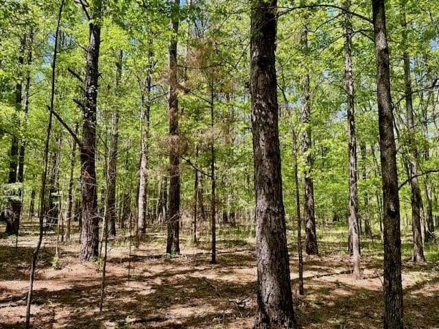 69 Acres For Sale Starkville MS