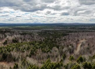 40.8 Acres of Off-Grid Paradise in Lakeville, Maine