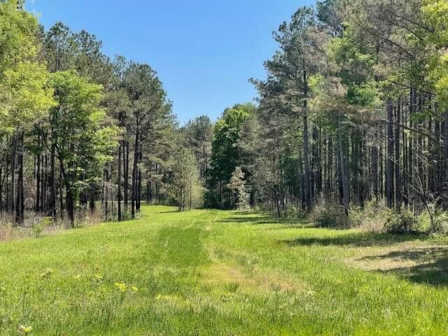 40 Acres For Sale Starkville MS