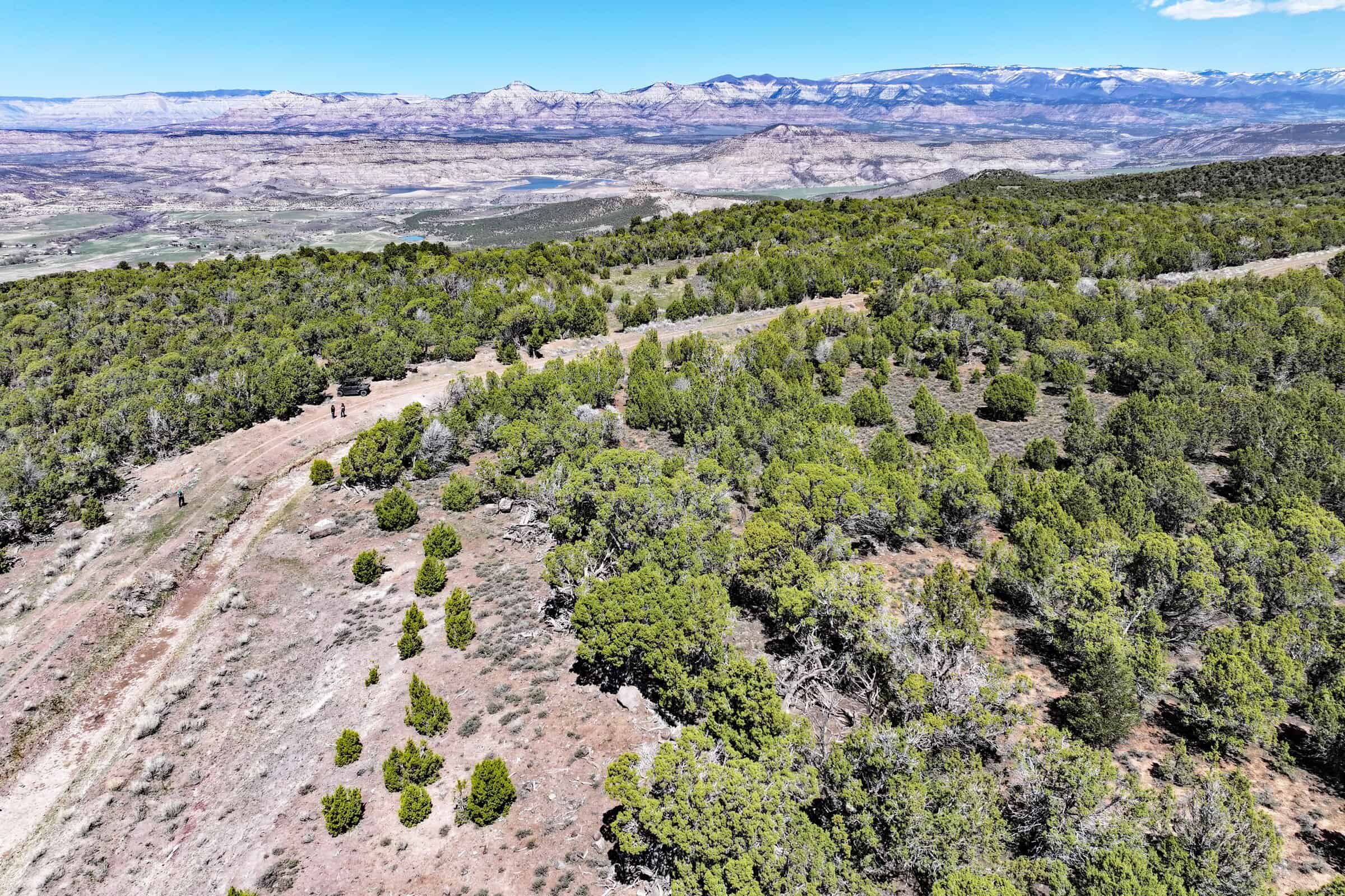 Colorado Mountain Vacant Land in GMU 421 Bordering BLM in Mesa County