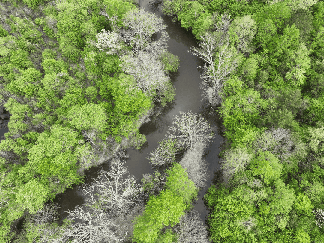 Secluded East Texas Hunting Land – Prime Deer & Waterfowl Property