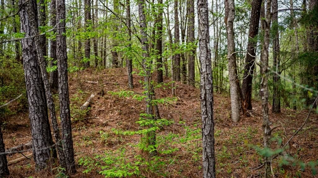 Affordable Property in Woodville, MS