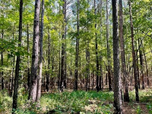 69 Acres For Sale Starkville MS
