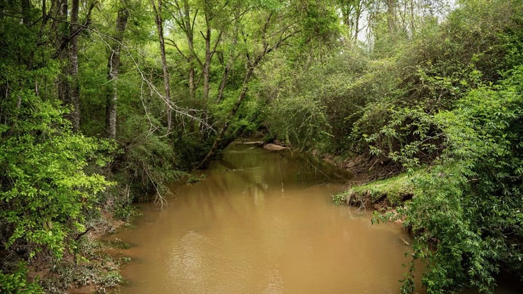 183 Acres and Camp for Sale with Lake, Timber Amite Co., MS