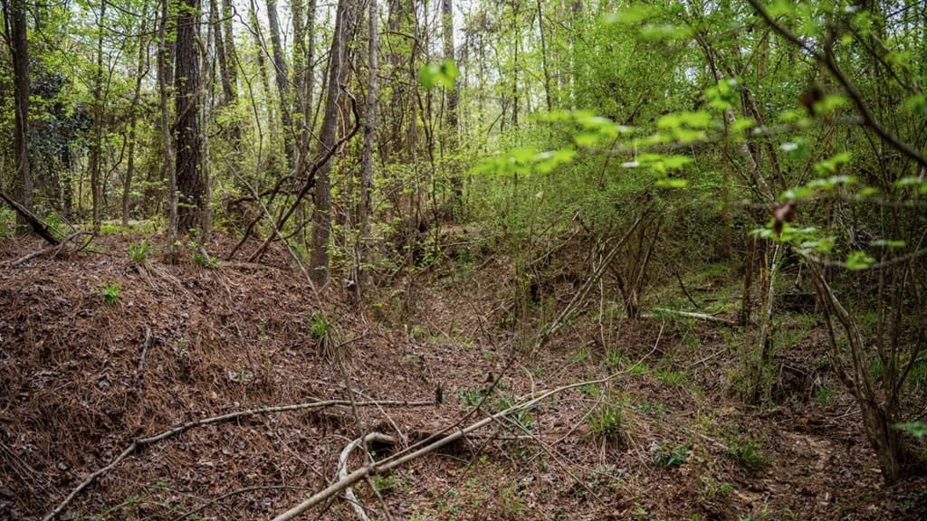 Affordable Property in Woodville, MS