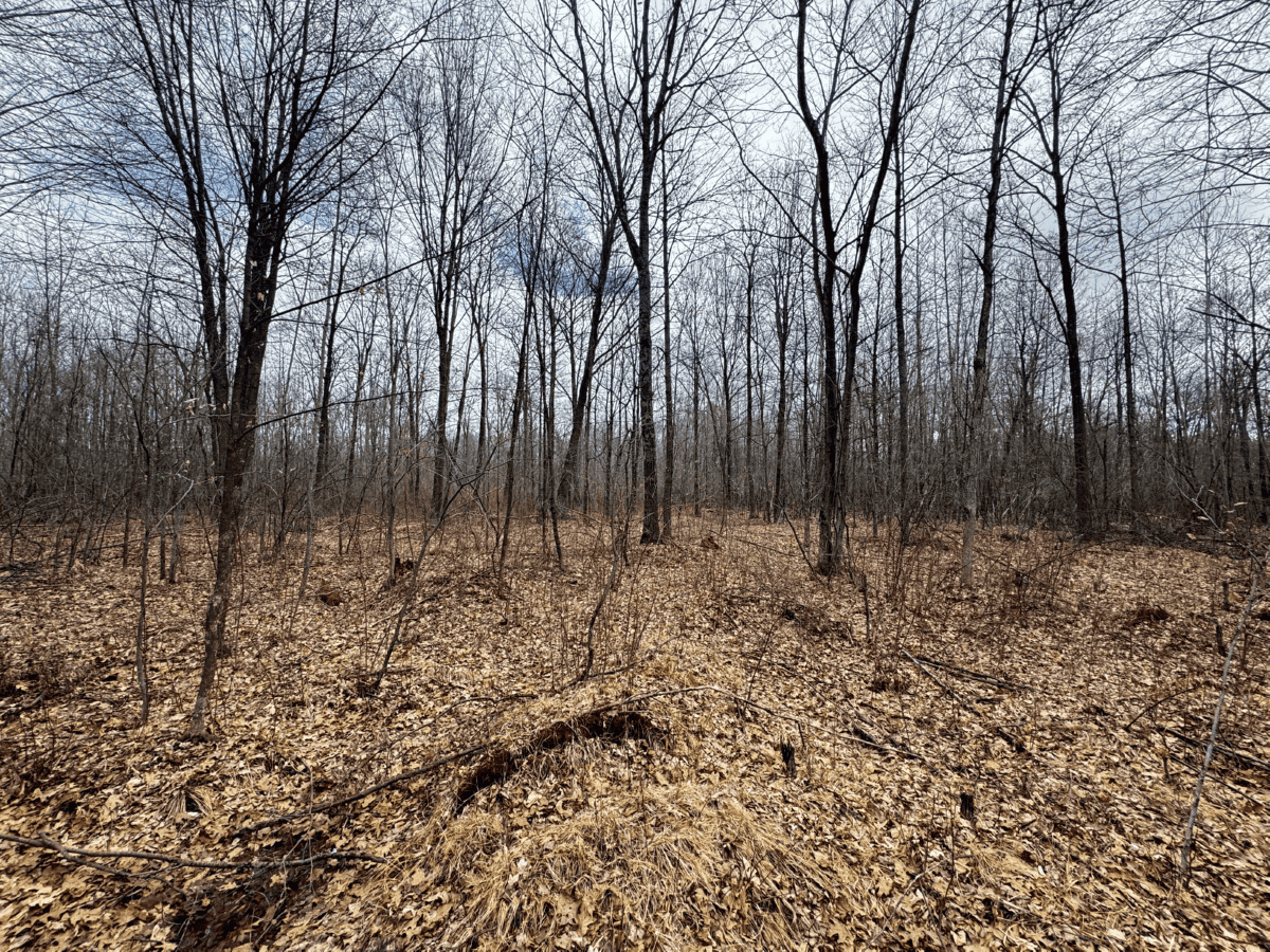 75-acre parcel in the heart of Clark County Wisconsin