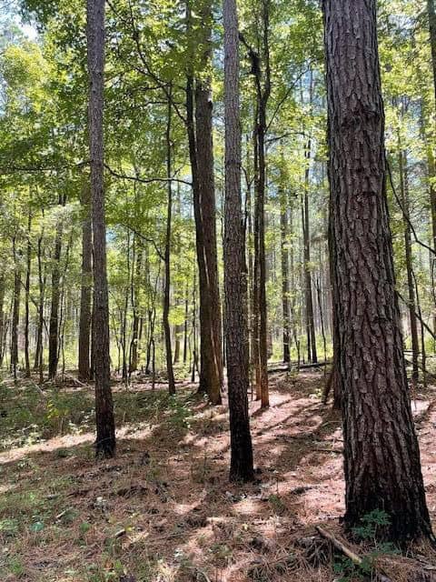 69 Acres For Sale Starkville MS