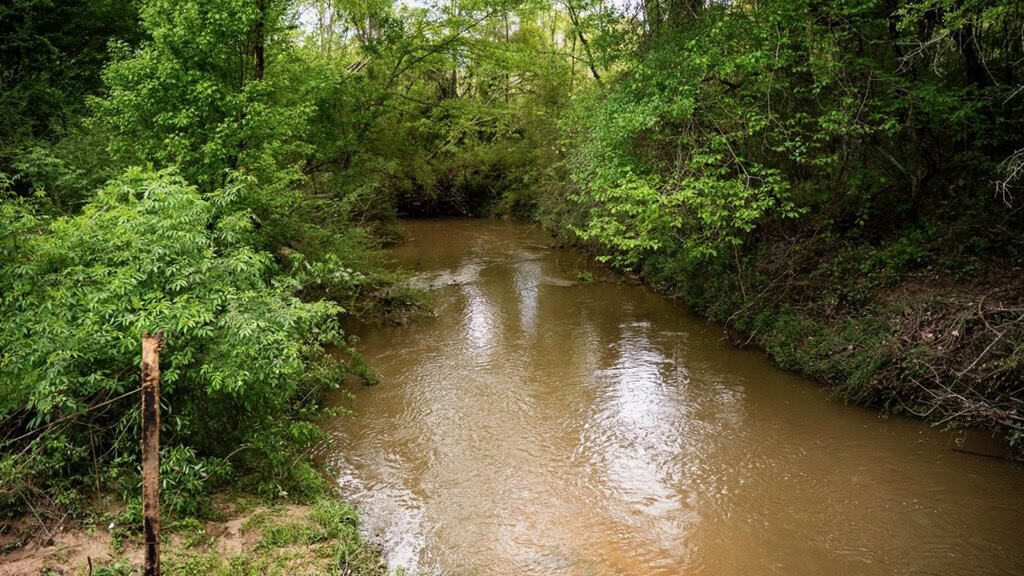 183 Acres and Camp for Sale with Lake, Timber Amite Co., MS