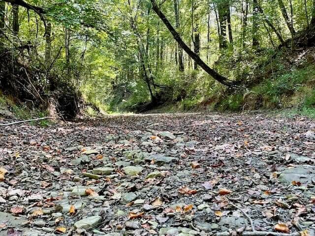69 Acres For Sale Starkville MS
