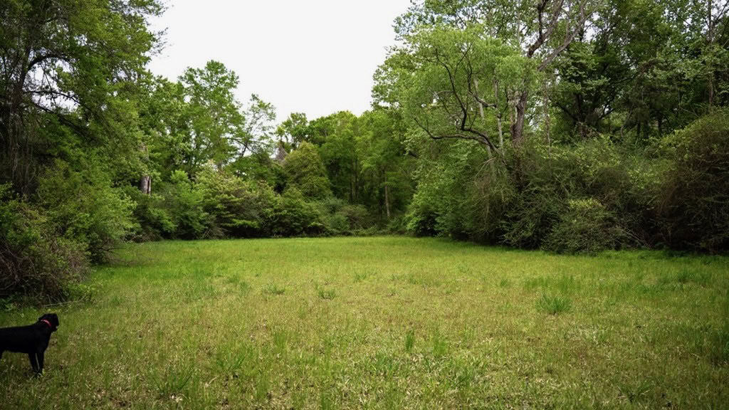 183 Acres and Camp for Sale with Lake, Timber Amite Co., MS