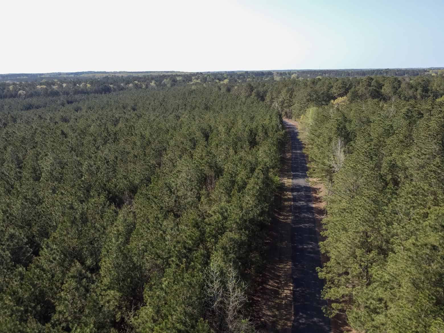 Longstraw 53 (Tract 2) Jackson Parish Timberland