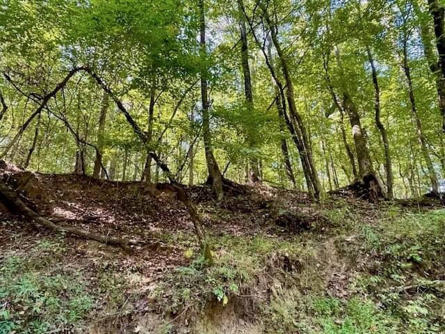 69 Acres For Sale Starkville MS
