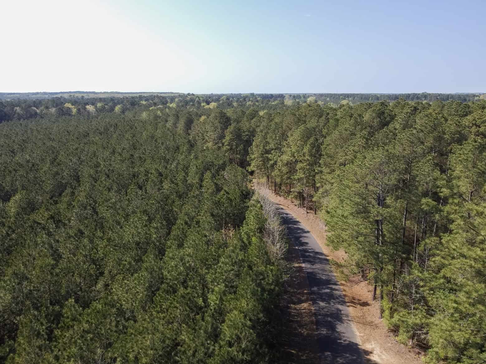 Longstraw 53 (Tract 2) Jackson Parish Timberland