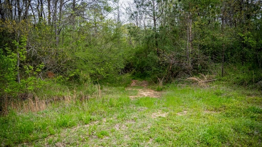 Affordable Property in Woodville, MS