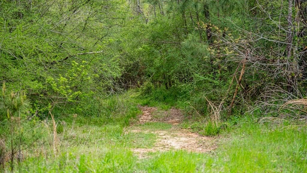 Affordable Property in Woodville, MS