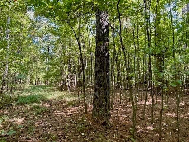 69 Acres For Sale Starkville MS