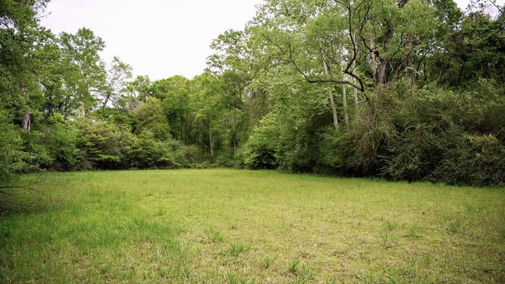 183 Acres and Camp for Sale with Lake, Timber Amite Co., MS