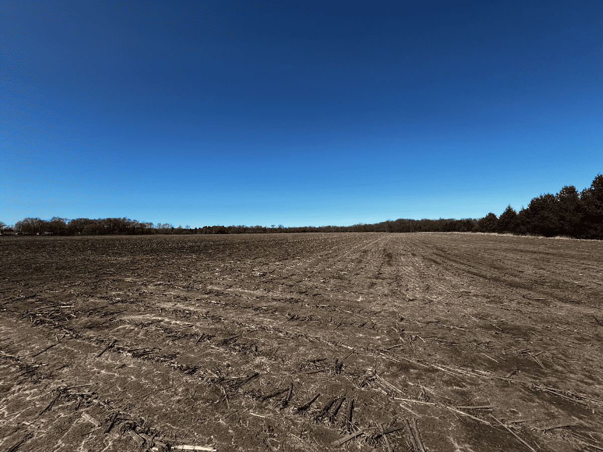 97.48± Acres of Tillable Land for Sale – Columbia County, WI