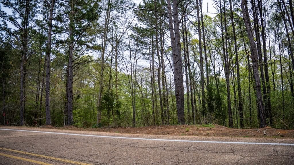 Affordable Property in Woodville, MS