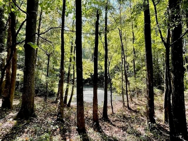 69 Acres For Sale Starkville MS