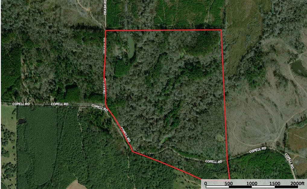 183 Acres and Camp for Sale with Lake, Timber Amite Co., MS