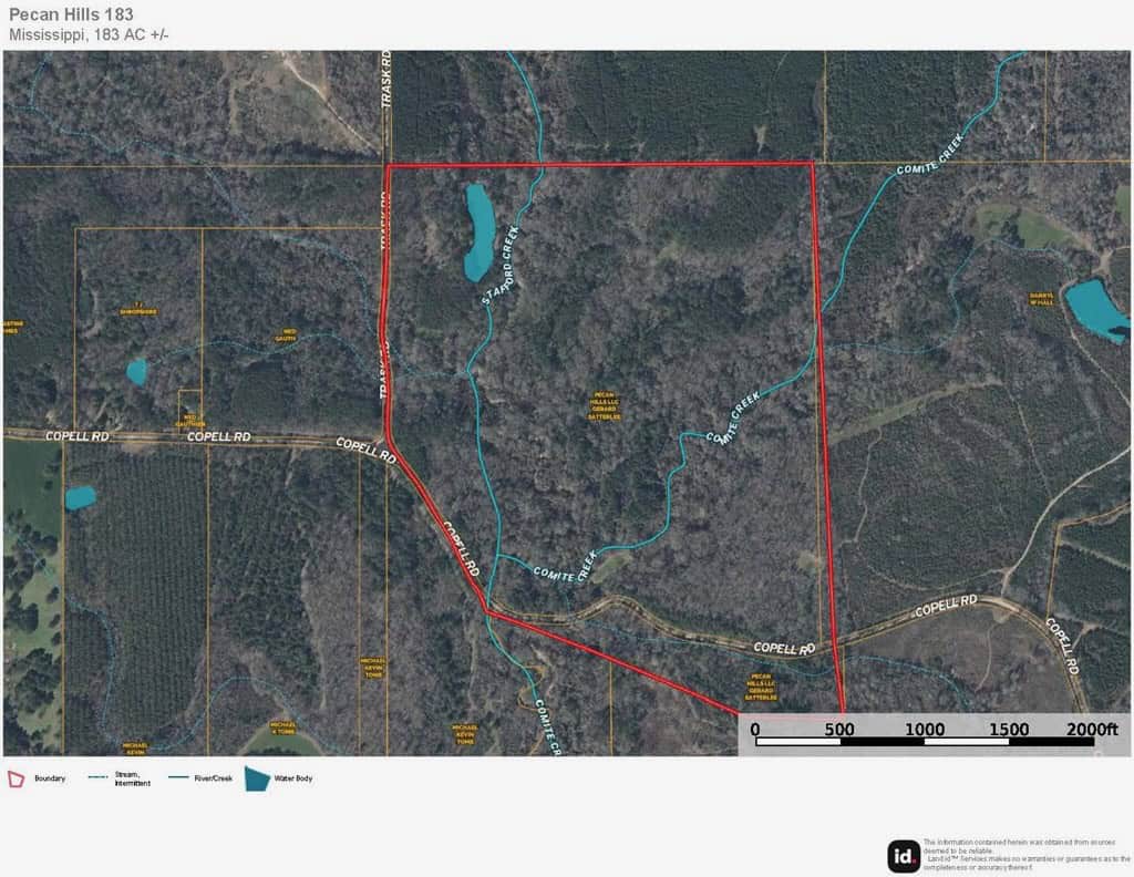 183 Acres and Camp for Sale with Lake, Timber Amite Co., MS