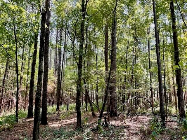 69 Acres For Sale Starkville MS