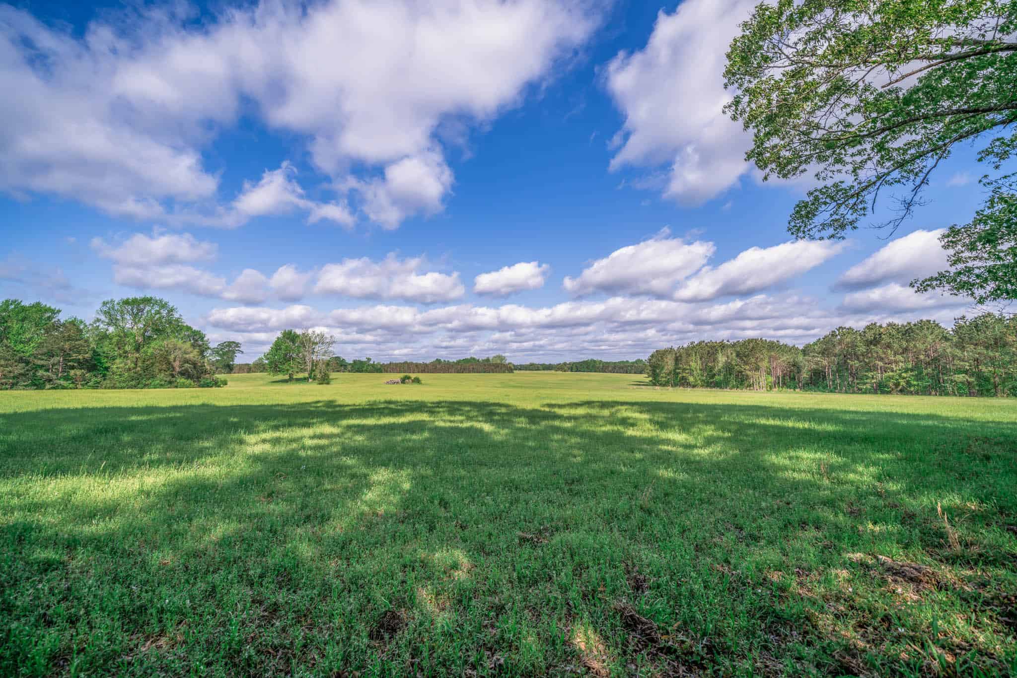 Twin Pine Ranch, An Exceptional East Texas Ranch Property
