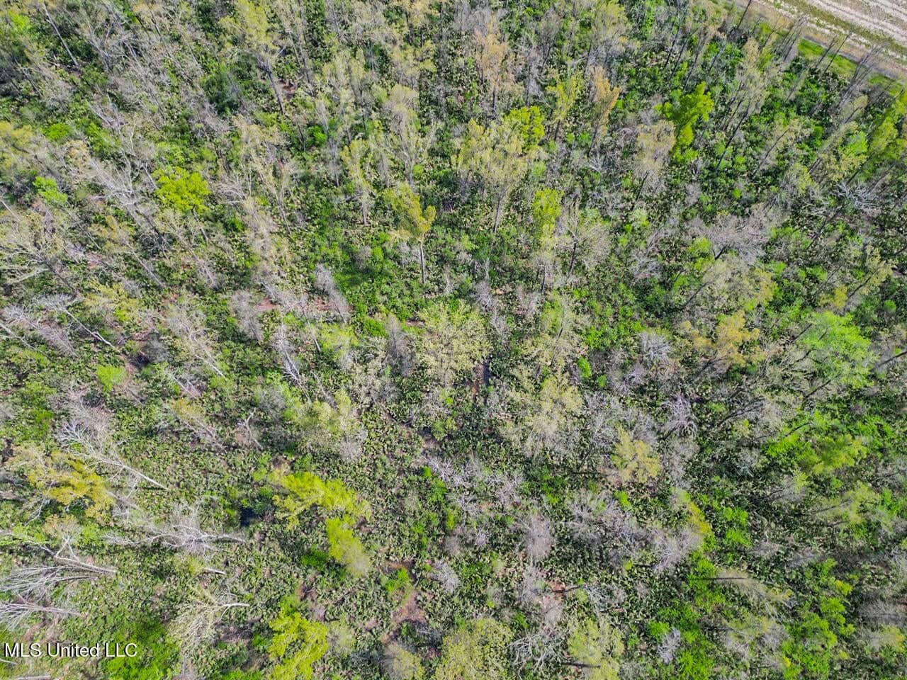 Small Hunting Property in Concordia Parish
