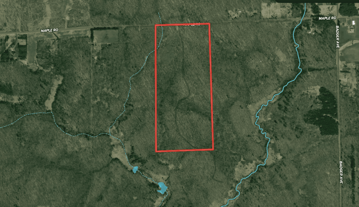 75-acre parcel in the heart of Clark County Wisconsin