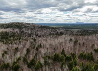 40.8 Acres of Off-Grid Paradise in Lakeville, Maine