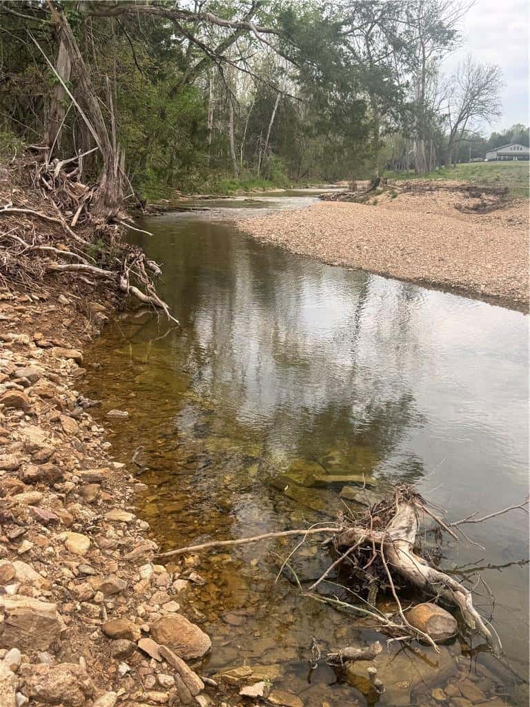 120 Acres Arkansas Hunting Land For Sale with Creek Frontage and Trails