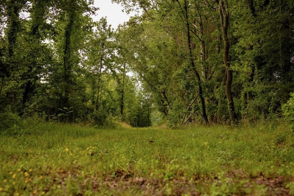 Deer, Duck, and Turkey Hunting in Claiborne County, MS