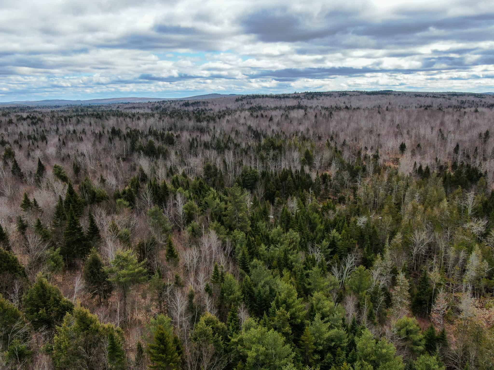 46.8 Acres of Maine Land for Sale – Remote, Forested, Affordable