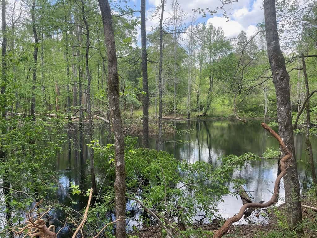 Amite County 38.6 Acres For Sale