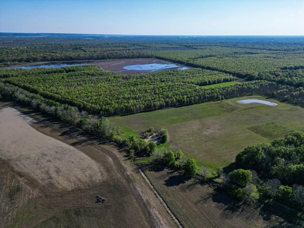 Legacy Waterfowl Hunting in the Mississippi Delta