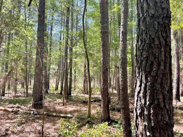 69 Acres For Sale Starkville MS