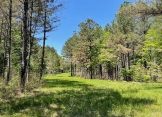 40 Acres For Sale Starkville MS
