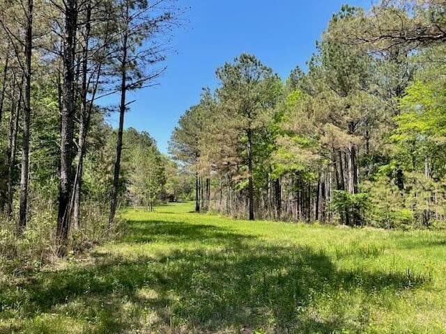 40 Acres For Sale Starkville MS