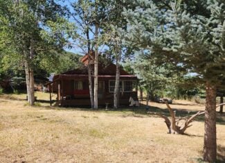 Cabin on 36 Acres with National Forest Access