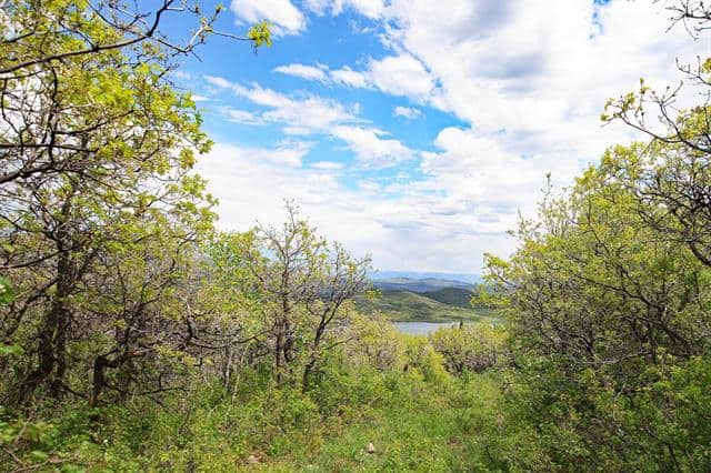 Colorado Hunting Land For Sale Near Vega State Park