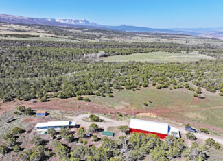 Home, Shop, Acreage with Ponds in 2 Parcels For Sale in Mesa County