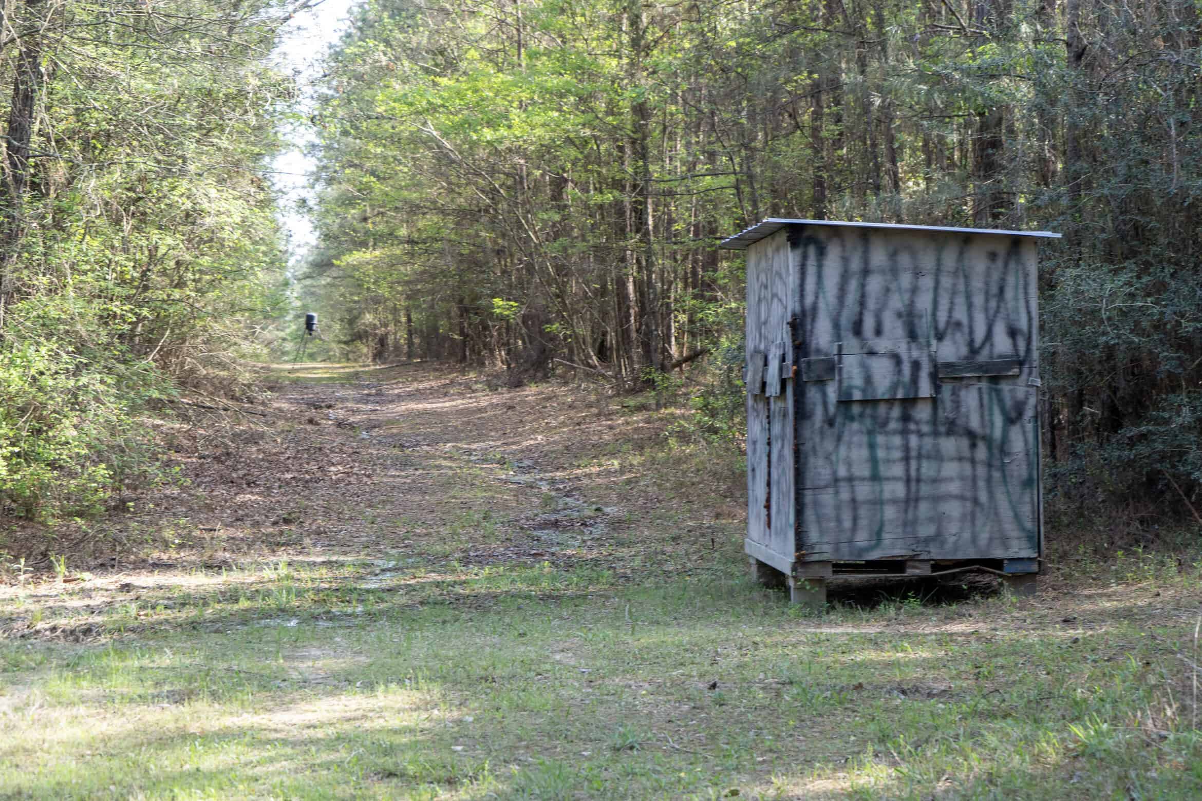 Longstraw 53 (Tract 2) Jackson Parish Timberland