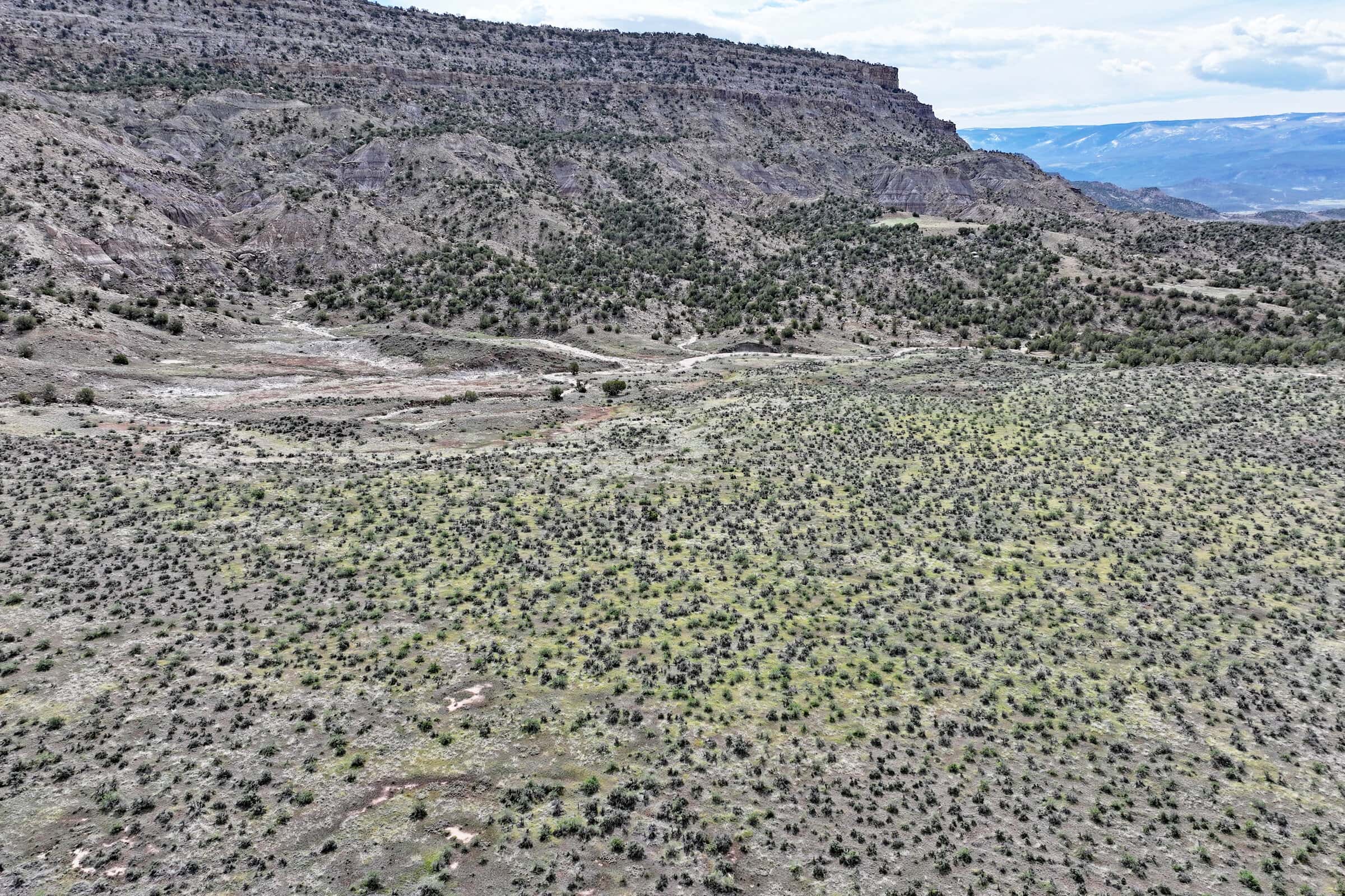 Vacant Hunting Land Bordering Public Land, BLM Access on Western Slope Colorado