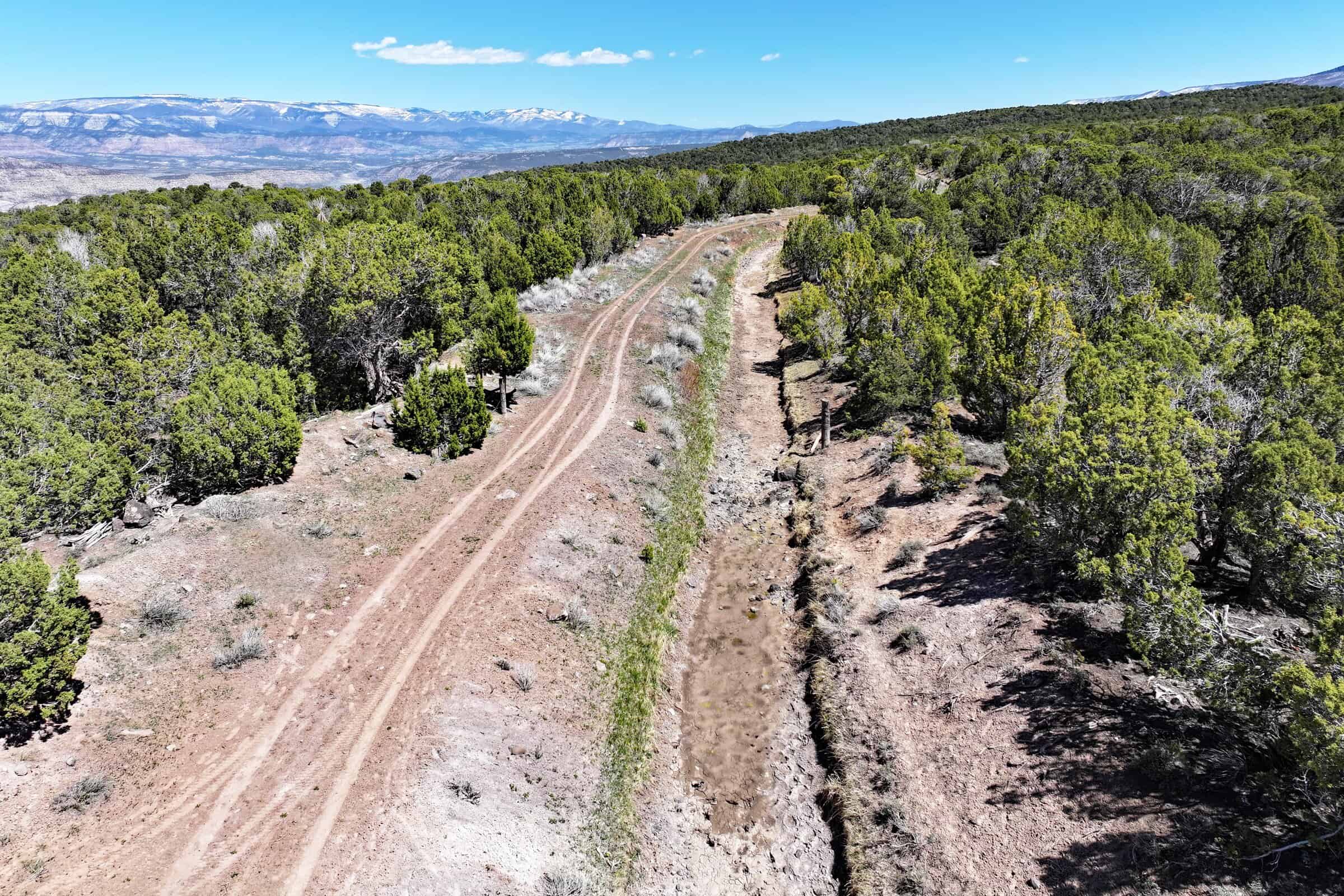 Colorado Mountain Vacant Land in GMU 421 Bordering BLM in Mesa County