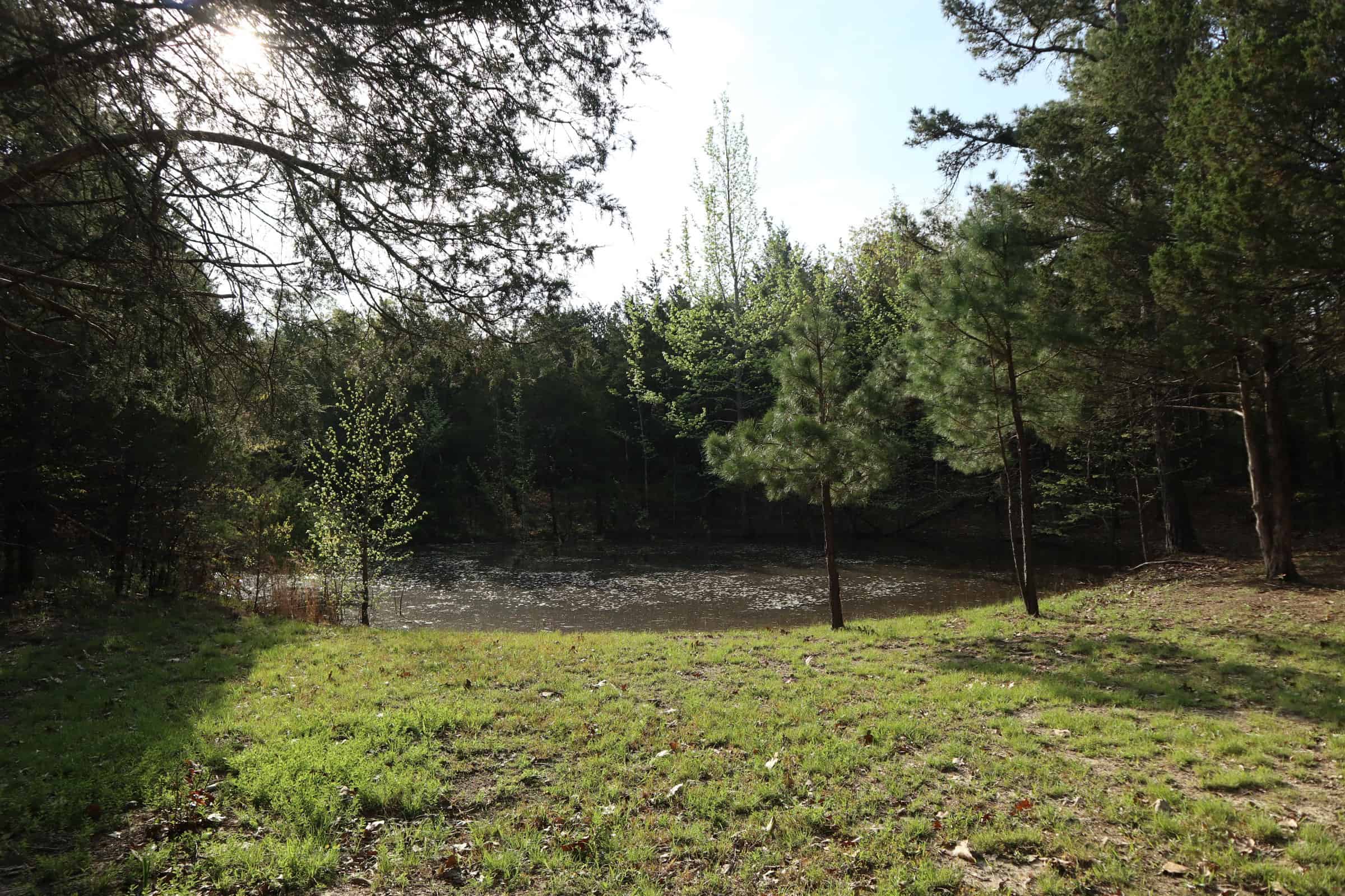 OZARKS ACREAGE A﻿ND BUILDING SITES FOR SALE SALEM ARKANSAS