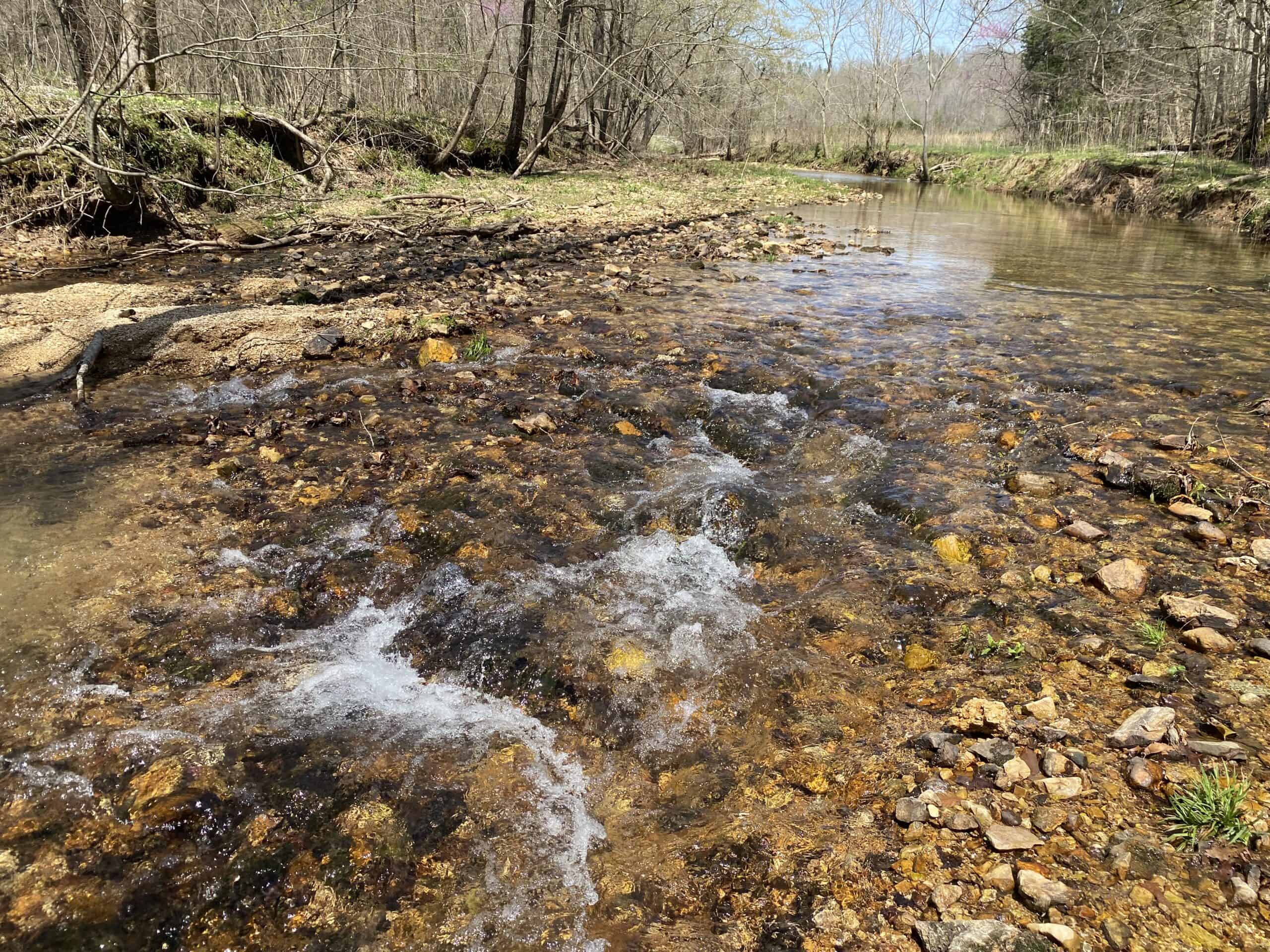 RENOVATED HOME ON 40 ACRES FOR SALE IN HARDIN COUNTY, TN