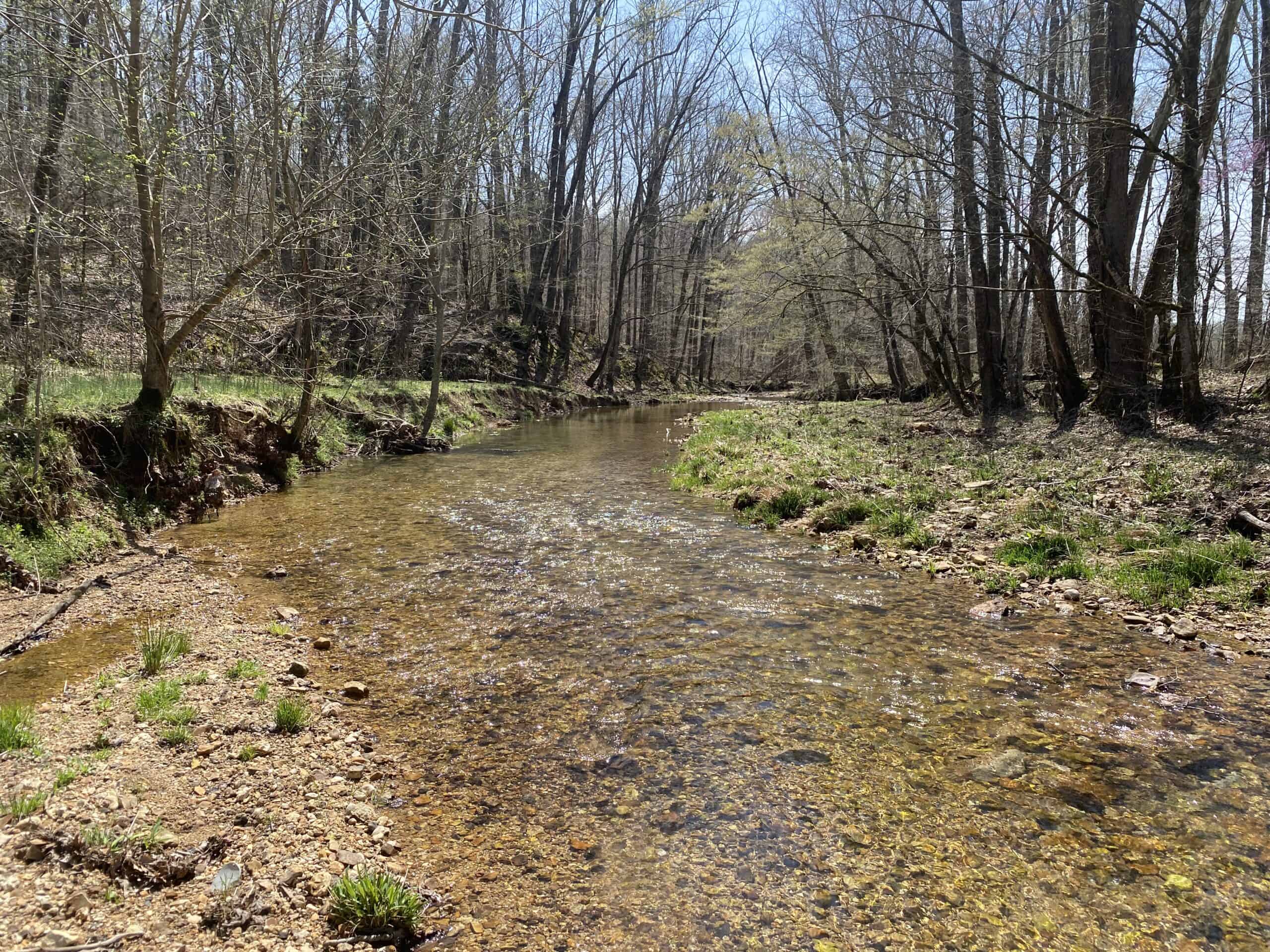 RENOVATED HOME ON 40 ACRES FOR SALE IN HARDIN COUNTY, TN