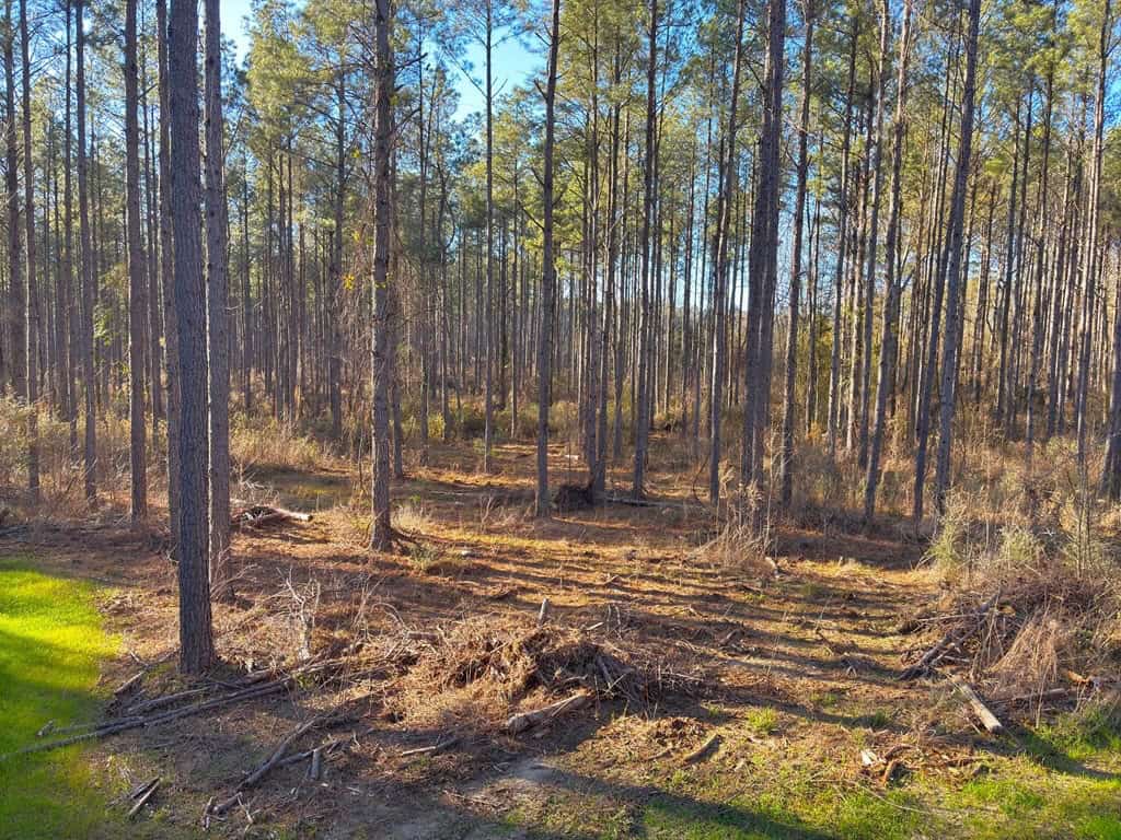 Amite County Hunting Land for Sale
